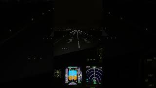 SQ12 Landing In Narita Airport 🇯🇵 VATSIM msfs2020 singaporeair aviation singaporeairlines [upl. by Yeldud14]