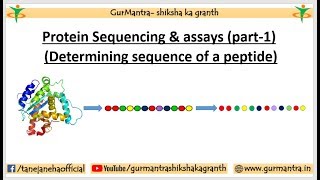 PROTEIN SEQUENCING amp ASSAYS  N amp C TERMINAL AMINO ACID ANALYSIS  PART1 [upl. by Hajar]