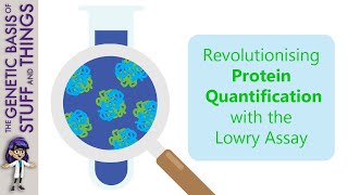 Looking into the logic and legacy of the Lowry assay [upl. by Agnes88]