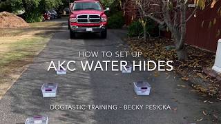 Scent WorkNose Work Buried Hides  How to set up AKC Water Hides [upl. by Rind]