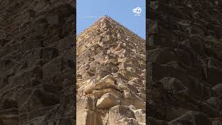 What Goes Up Dog Spotted Atop Great Pyramid of Giza Makes Expert Descent [upl. by Joette]