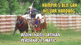 hasil latihan jet matic setelah 4bln Gak keluar kandang [upl. by Orr284]