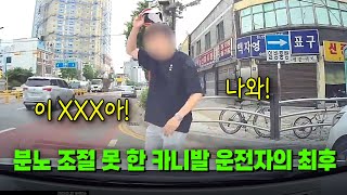 23174회 신호에 따라 좌회전하고 있는데 직진 차로에서 끼어들던 카니발 오히려 적반하장 화를 내던 카니발 운전자의 최후 [upl. by Auberon]