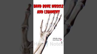 Hand Bone Muscles and Ligaments 3d animation 3danatomy anatomy bones muscle [upl. by Enaid]