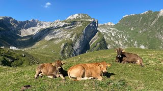 Einmol meh Säntis 🇨🇭❤️🥰 [upl. by Ahsiak50]