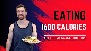 Road To 8 Body Fat Day 57  Full Day Of Eating 1600 Calories [upl. by Deyas]