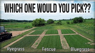 Which GRASS TYPE Is BEST For You And Your Lawn [upl. by Eehsar962]