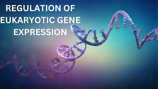 65 Transcription Factors [upl. by Lizbeth185]