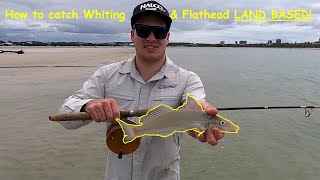 How to catch Whiting amp Flathead LAND BASED [upl. by Halle]