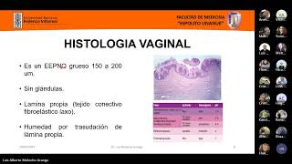 Vulvovaginitis EPI [upl. by Charleton]