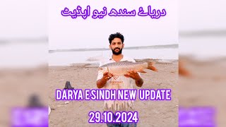 DARYA E SINDH NEW UPDATE29102024❤️ [upl. by Jobi]