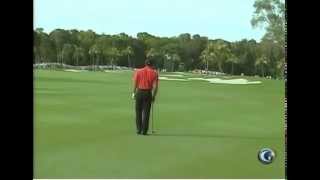 Tiger Woods 297 yard 3 wood [upl. by Ttreve]