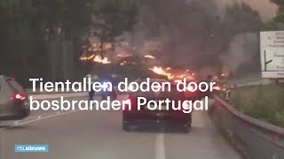 Tragedie Portugal tientallen doden bij bosbranden [upl. by Rramal]