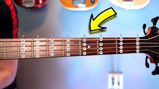 Music Theory For BASSISTS  What You MUST Know [upl. by Eilrebmik]