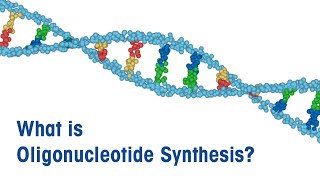 What is Oligonucleotide Synthesis [upl. by Mcclenaghan]