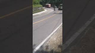 Avanza Trailer Truck Passes Sharp Downhill [upl. by Felizio240]