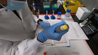 Preparing Ionically Crosslinked Alginate Hydrogels [upl. by Ennovart]