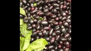 Homeo Diabetes Cure syzygium jambolanum [upl. by Shiekh]