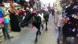 Bangalore India streets today [upl. by Idelia373]