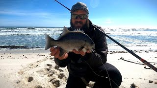 How to Fishing for Galjoen on the West Coast Water reading and Bait presentation Day1 [upl. by Ainocal]