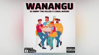 Dj Ommy The Killer X Canal Mjeuri  Wanangu  Singeli Michano [upl. by Linet]