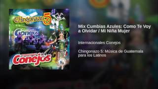 Internacionales Conejos  Mix Cumbias [upl. by Aihsemaj]