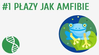 Płazy jak amfibie 1  Płazy [upl. by Nothgierc]