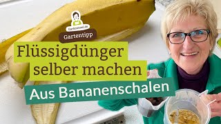 Flüssigdünger aus Bananenschalen selber machen  Bestens für Rosen Orchideen Fuchsien Geranien [upl. by Aihtnys202]