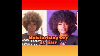 How to moisturize extremely Dry 4C hair amp Style A Perfecf Afro [upl. by Eoz427]