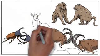 Intraspecific Whiteboard animation [upl. by Nnaeitak]