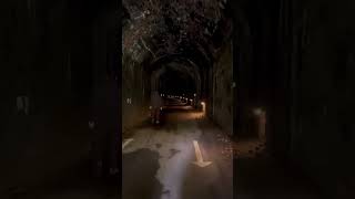 Tidenham Tunnel Chepstow Wales UK [upl. by Yemane884]