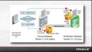 Oracle Database 12c Transporting Data [upl. by Onaicram]