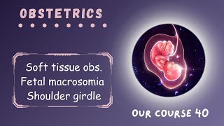 Rev Soft tissue obs  Fetal macrosomia amp Shoulder dystocia  Page 220  224  Obstetrics Module 40 [upl. by Madid]