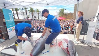 RUTA DEL ATUN CONIL 2024 JORNADA DEL DOMINGO Ronqueo Gadira y Cocinas [upl. by Galligan]