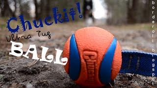 Chuckit Ultra Tug Ball vs Piano borderoliblogspot [upl. by Kraft]