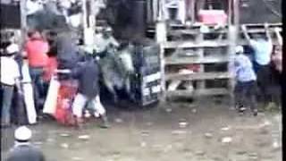 Bucking bulls  Bull Riding  Nicaragua Sn Pedro Chontales [upl. by Benoit]