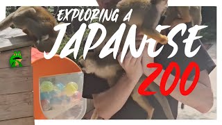 Exploring A Japanese Zoo  Nagasaki Bio Park  Capybaras and Monkeys [upl. by Onirefez]