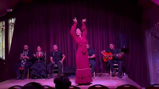 Flamenco Show at Palau Dalmases part 1 [upl. by Avie]