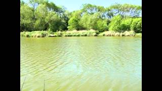 SWANBOROUGH FARM FISHERY NR LEWES EAST SUSSEX [upl. by Auoh]