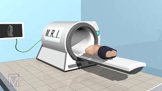 SeeThru Science How MRI Machines Work [upl. by Circosta]