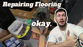 Repairing Flooring LVT diy carpentry [upl. by Glory903]