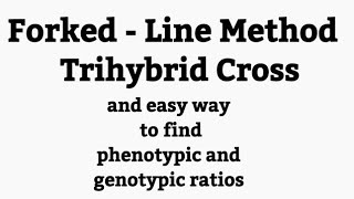 Forked line method  Trihybrid cross tutorial 1 [upl. by Fortier482]