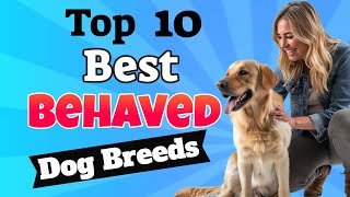 Top 10 Best Behaved Dog Breeds [upl. by Rebe]