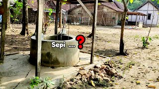 Kampung Sepi Bagaikan Tak berp3nghun1 [upl. by Kcirddor]