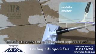 How To Fix And Seal Limestone Tiles [upl. by Epuladaugairam640]