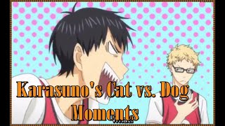 Haikyuu Kageyama Tobio and Kei Tsukishima Moments  The Cat vs Dog of Karasuno VBC [upl. by Simeon802]