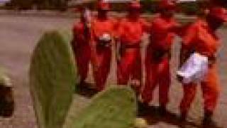 AMERICAN CHAIN GANG  DVD CLIP 2 WOMEN ON THE CHAIN GANG [upl. by Nnaitsirhc685]