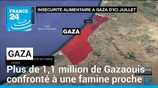 Famine imminente à Gaza selon lONU • FRANCE 24 [upl. by Philcox]