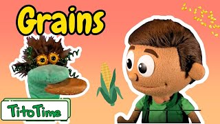 What Are Grains  Kids Explore The Grains Food Group with Tito amp Mr Funny  Episode 5 [upl. by Eblehs482]