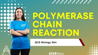 Polymerase Chain Reaction  QCE Biology 3amp4 [upl. by Natassia]